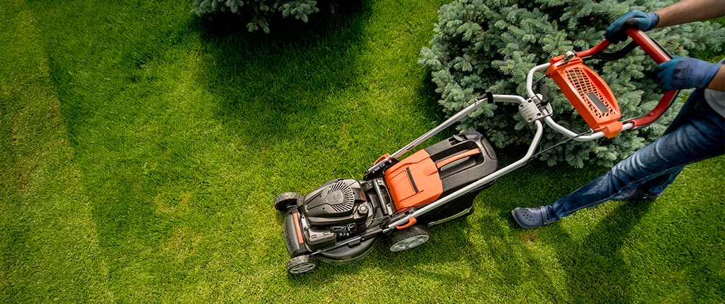 free quotes on lawn mowing services