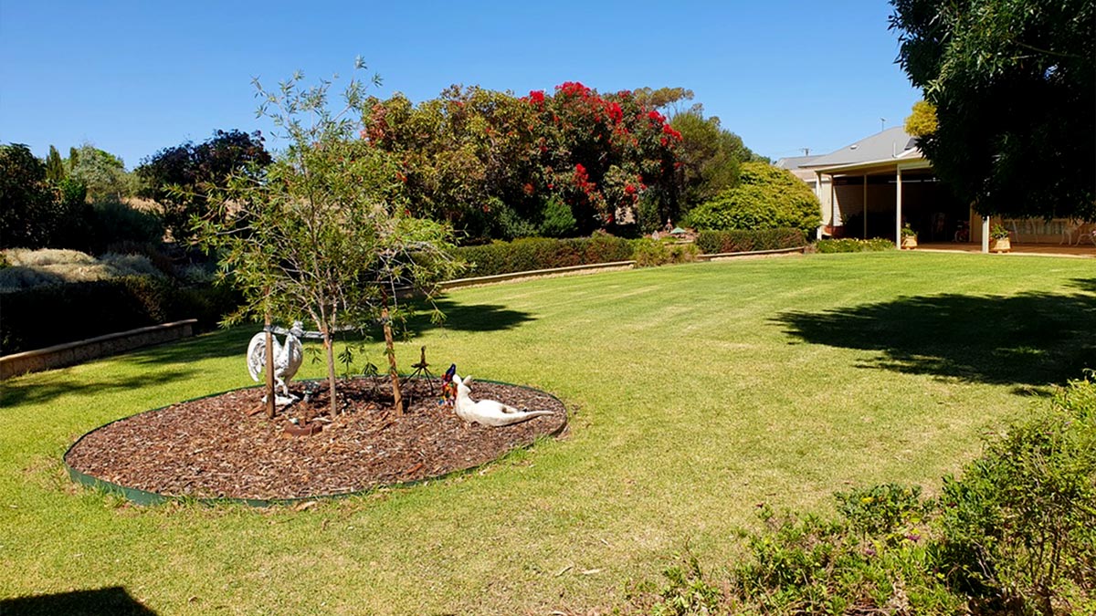 tree pruning and tree removal